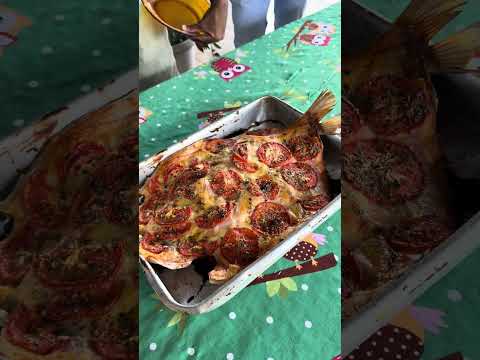 Pesque e Pague Jatobá - Campo Novo dos Parecis - Mato Grosso #pesquepague #pescaria #pesca #pescar