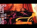 Barry White ~ Put Me In Your Mix (1991) 