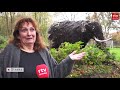 Drenthe Nu 17 november 2020