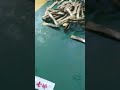 130，seasoning powder packing machine