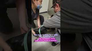 My 1st Experience at Vetco!