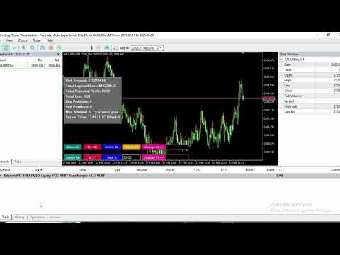 Video Protrader Auto Trading Smart Layering