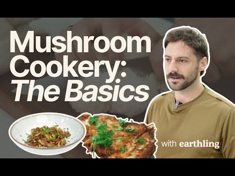 Ultimate Mushroom Storage & Cooking Guide | Crispy Pan-Fried Mushrooms & Lion's Mane Steak