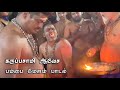 Saranam Ayyappa Karuppasamy Avesha Pampai Melam Padal