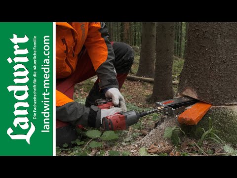 ValFix felling wedge in the LANDWIRT test | landwirt-media.com