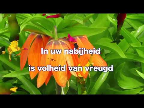 Opwekking 324 Ik wil komen en knielen