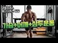 [김성환 매일운동] DAY5 가슴&어깨&삼두 루틴 / Builder Kim Chest & Shoulder & Tricpes