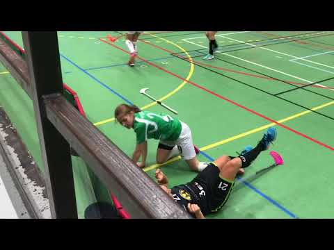 Highlights Åstorp/Kvidinge IBS Allsvenska Damer - Lindome  9-3.