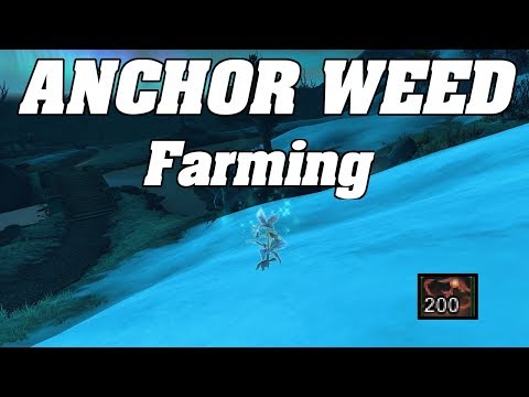 WoW : The BEST Anchor Weed Farm