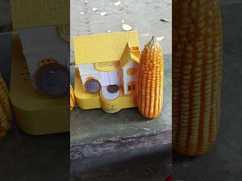 YES YOUR THE BEST POKEMON. #yahoo #youtubeshorts #trending #video #viralvideo #short