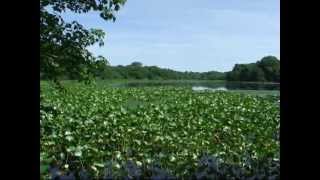 Long Island bike trails - Part 1