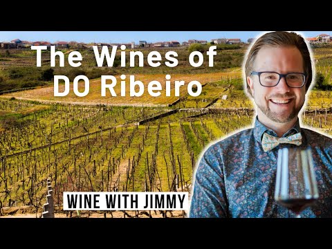Introducing the wines of DO Ribeiro and Treixadura for WSET Level 4 (DIploma)