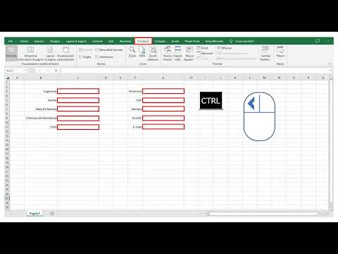 Form Di Inserimento Con Macro Parte Prima