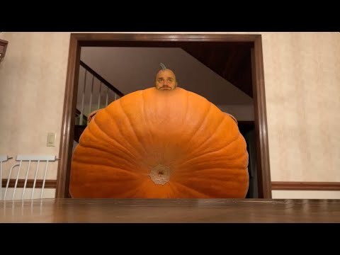 Man transforms into Pumpkin (Preview)