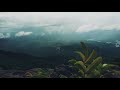 Malayalam WhatsApp Status Travel WhatsApp Status Vayalada WhatsApp Status