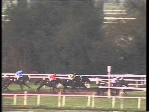 1994 Kennel Gate Castle Novices' Hurdle