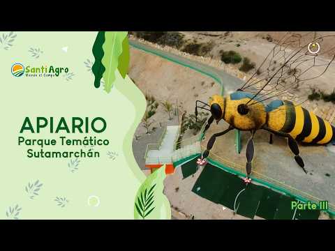 Apiario Altovento: El museo de las abejas y la gigante que sorprende a Boyacá | Parte 3