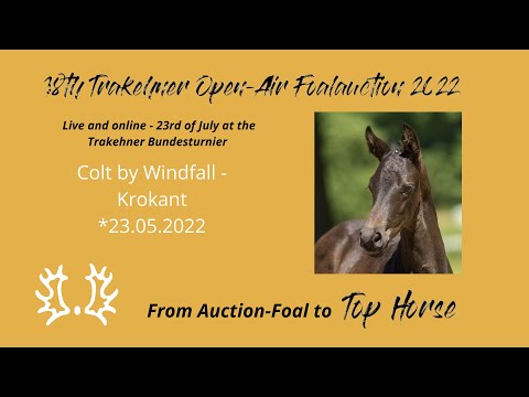 9 - Interpol - Colt by Windfall - Krokant *23.05.2022