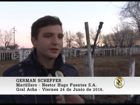 24-06-16 Nota German Scheffer - Nestor Hugo Fuentes S.A. - Gral. Acha.