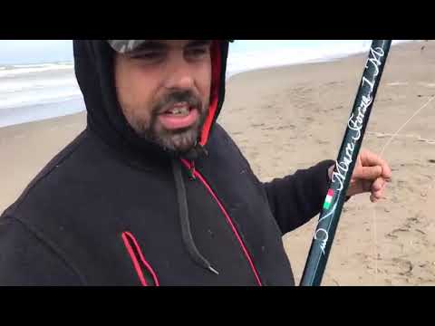 Mare.forza 1 in ground