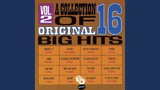 Shake Sherrie (&quot;16 Big Hits&quot; Stereo Version)