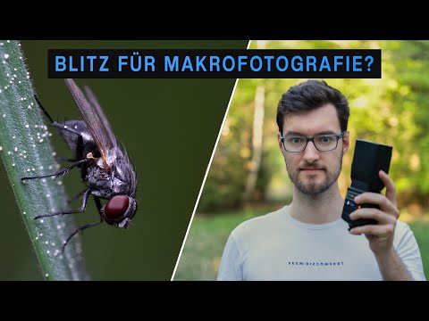 Braucht man einen Blitz für Makrofotografie? | Makro Tipps für Anfänger