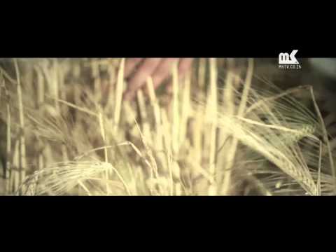 Somersetwes video