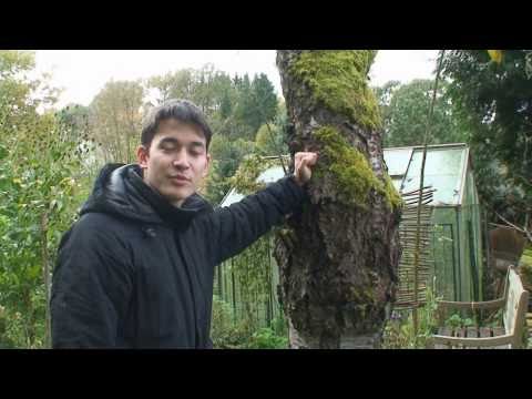 Makrofotografie | Teil 2 - Herangehensweise, Motivfindung, Aufnahme - AKIRA|fotografie