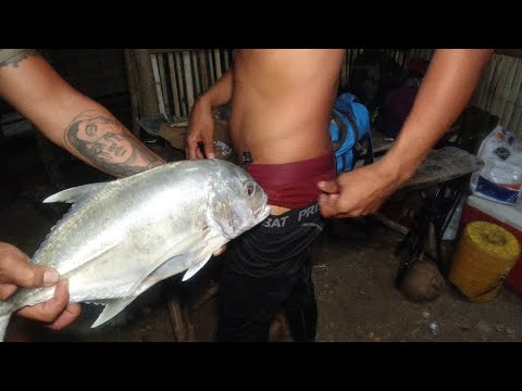 SE03EP146 - HATAKAN sa TALAKITOK ( TREVALLY / MAMSA ) Bago LUMUBOG ang ARAW with @cobraprince4601