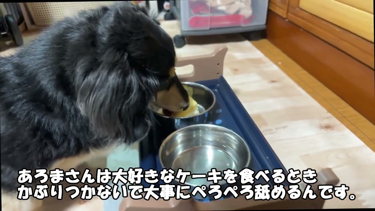 あろまさん　お誕生日のケーキ二日目