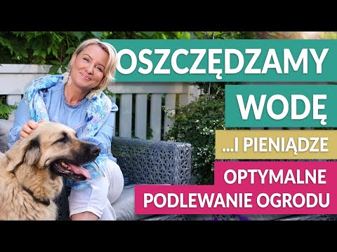 NASZ OGRÓD - optymalne podlewanie. Jak zaoszczędzić wodę i utrzymać piękno roślin? | GREEN CANOE