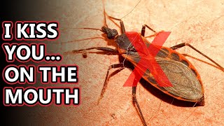 How to get rid of kissing bugs in house || Chagas Disease, Causes,