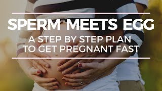 SPERM MEETS EGG PLAN - for the best odds at getting pregnant