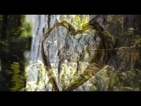 Coração Do Mato video