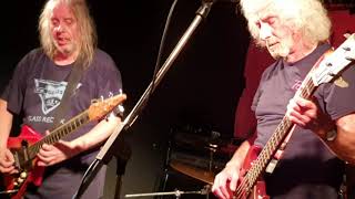 Bevis Frond - Pale Blue Blood