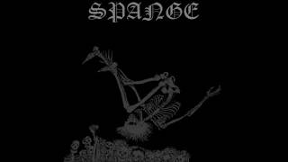 SPANGE - Guts On The Ceiling (I.C.P. Cover)