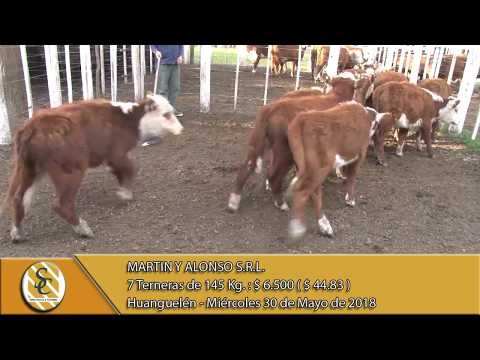 30-05-18 Venta de Hembras - Martin y Alonso S.R.L. - Huanguelén
