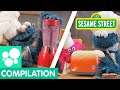 Sesame Street Fun Breakfast Recipes For Kids Cookie Monster S Foodie Truck Compilation