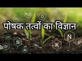 Plant Nutrition DAP Urea And NPK All Grade Earn Primary And Secondary Micronutrients