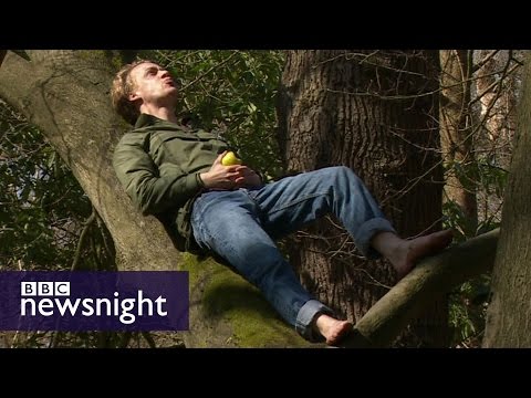 Urban tree climbing - BBC Newsnight