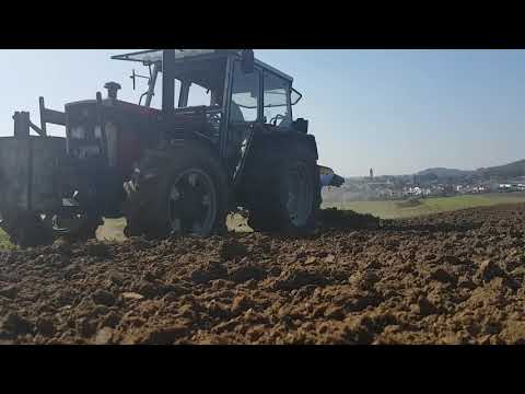 pflügen und Kreiseleggen mit mf 363 und case ih 833