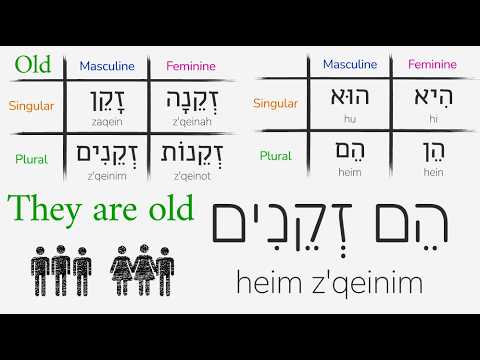 Hebrew Practice and Review: Hebrew Basics Review #2: Lessons 5 - 7