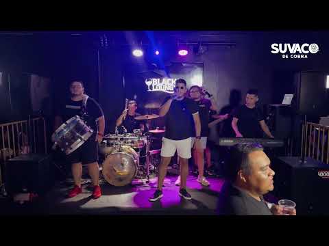 Forrozão Suvaco de Cobra na Black Lounge - Atualizando o Atualizado