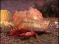 Wee Sing Under The Sea Part 4