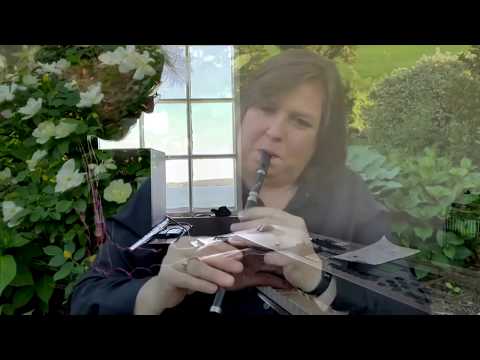 Thumbnail for Joanie Madden - Sliabh na nBan by Joanie Madden