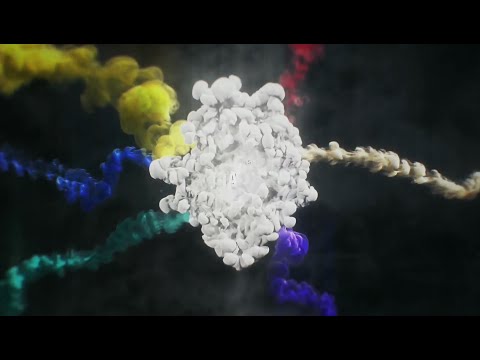 Mid Season Invitational 2016 in China full Opening Ceremony! MSI 2016 Hype!