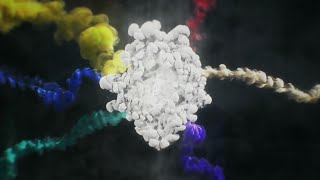 Mid Season Invitational 2016 in China full Opening Ceremony! MSI 2016 Hype!