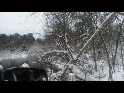 day 2 of the snow in needham Massachusetts