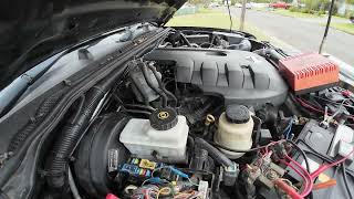 u1000 Isuzu Interpretation