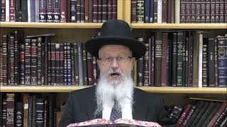 הגאון הרב אברהם יוסף שליט"א האם טוב לומר את מזמור "ברכי נפשי את ה'" קודם תפילת ערבית בערב ראש חודש (הרב אברהם יוסף) - התמונה מוצגת ישירות מתוך אתר האינטרנט יוטיוב. זכויות היוצרים בתמונה שייכות ליוצרה. קישור קרדיט למקור התוכן נמצא בתוך דף הסרטון